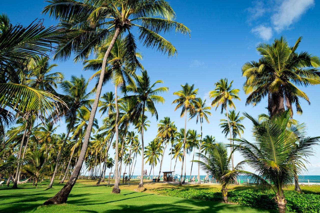 Paraiso Na Terra - Carneiros Beach Resort Tamandaré Extérieur photo